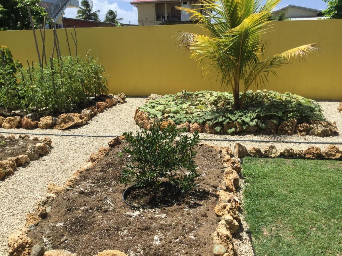 Best Villas Tobago Lowlands Exterior foto